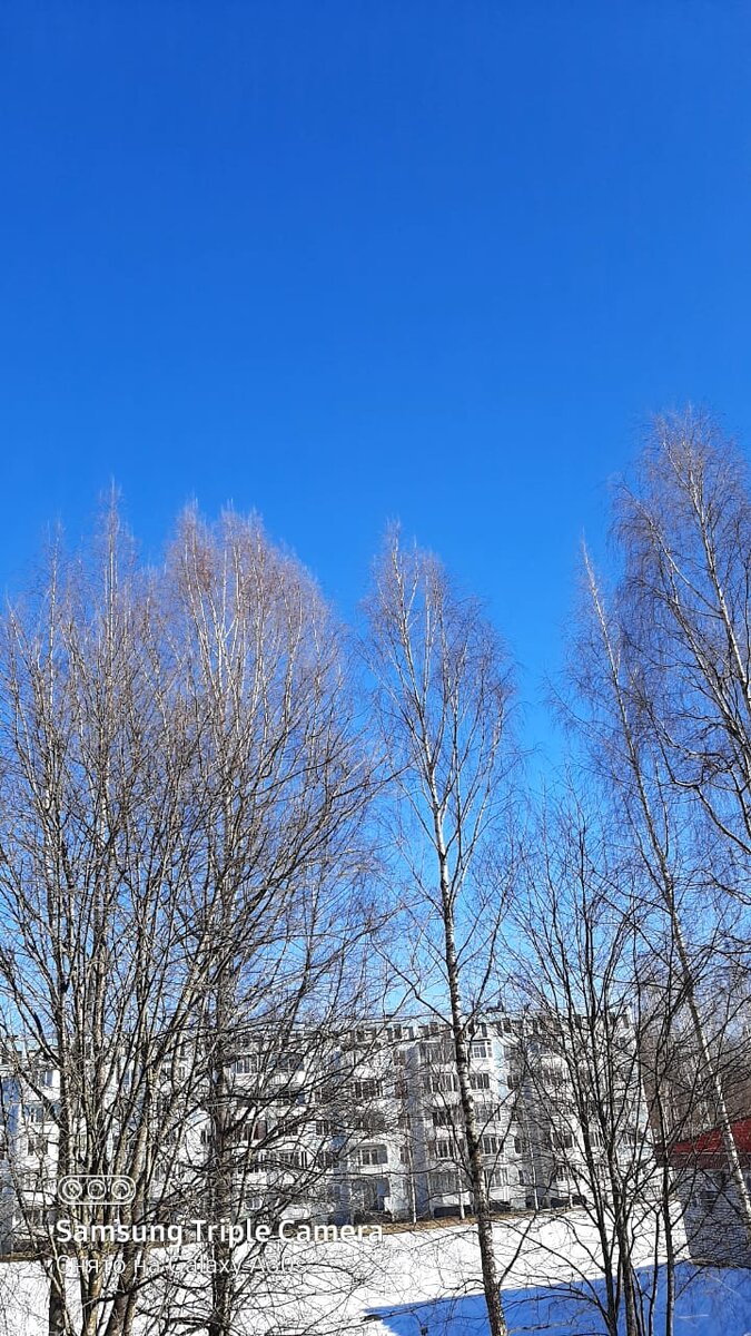 Фото автора.