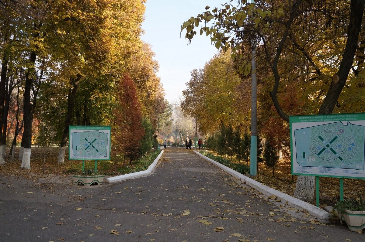 Вход в ташкентский ботанический сад 
