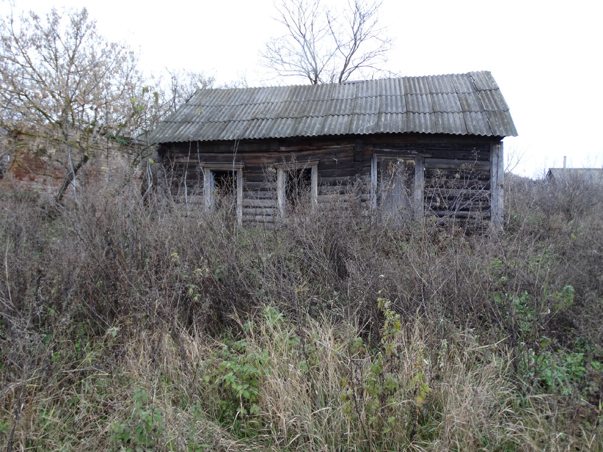 Село Мамонтово, Сосновский район, Тамбовская область. Заброшенный дом