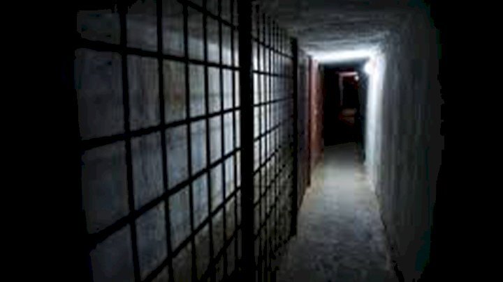 Пропаганда культа насилия