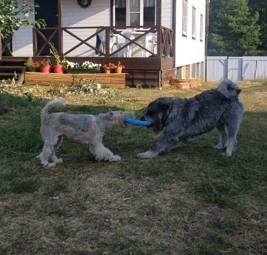 Маркус и его новая подружка