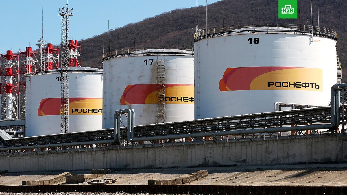    Фото: РИА Новости © 2022, Виталий Тимкив