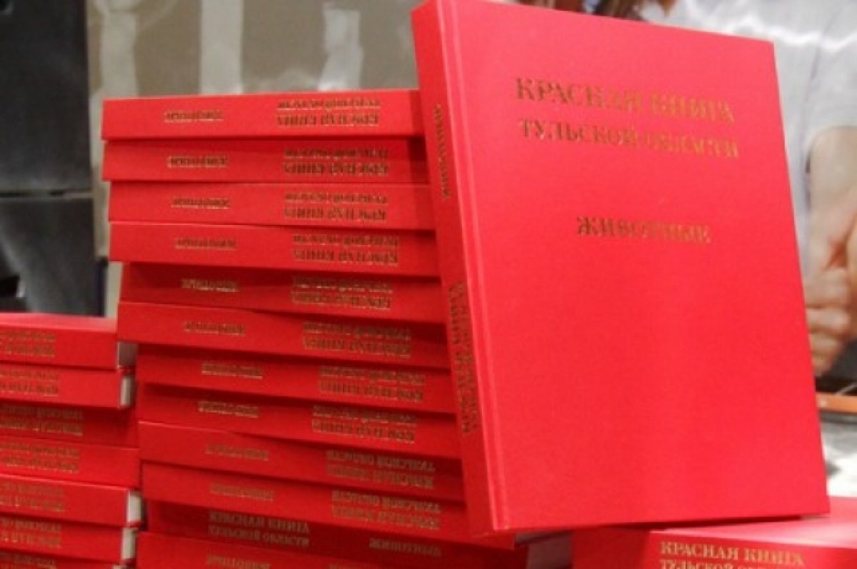    Нетопырь карлик и двухцветный кожан исключены из тульской красной книги
