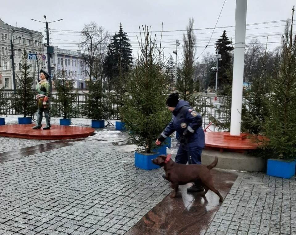     Фото мэрии Воронежа