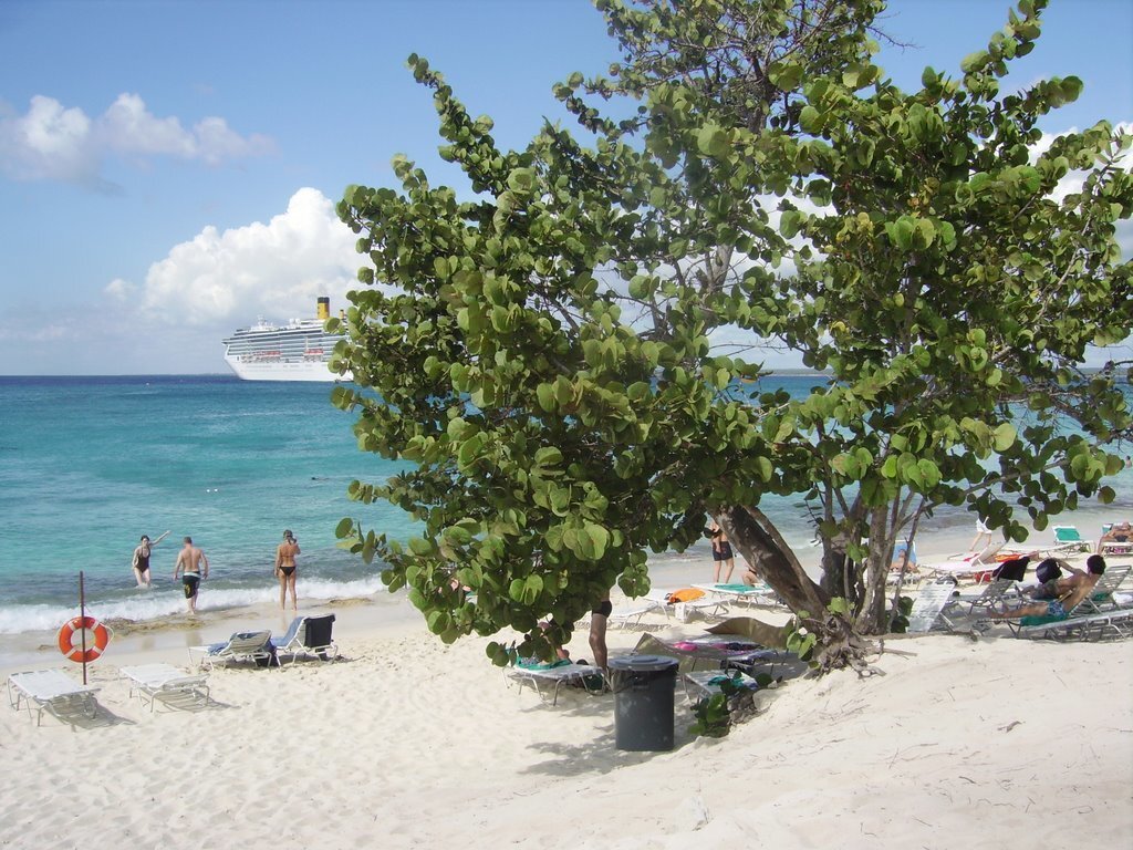 Фотогалерея острова Каталина