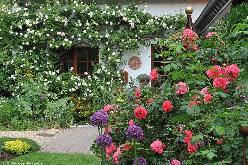 Сад семьи Имиг-Герольд 