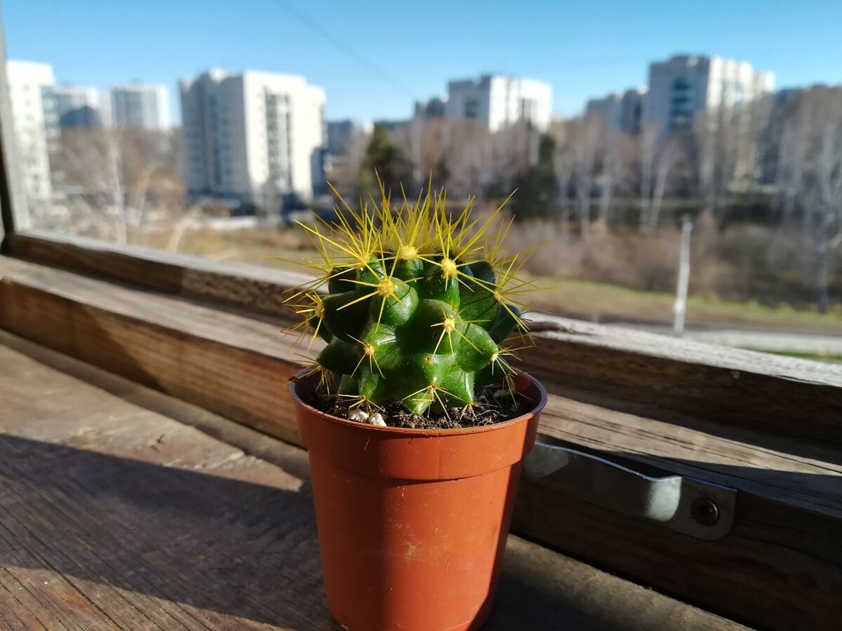 Незваные гости.