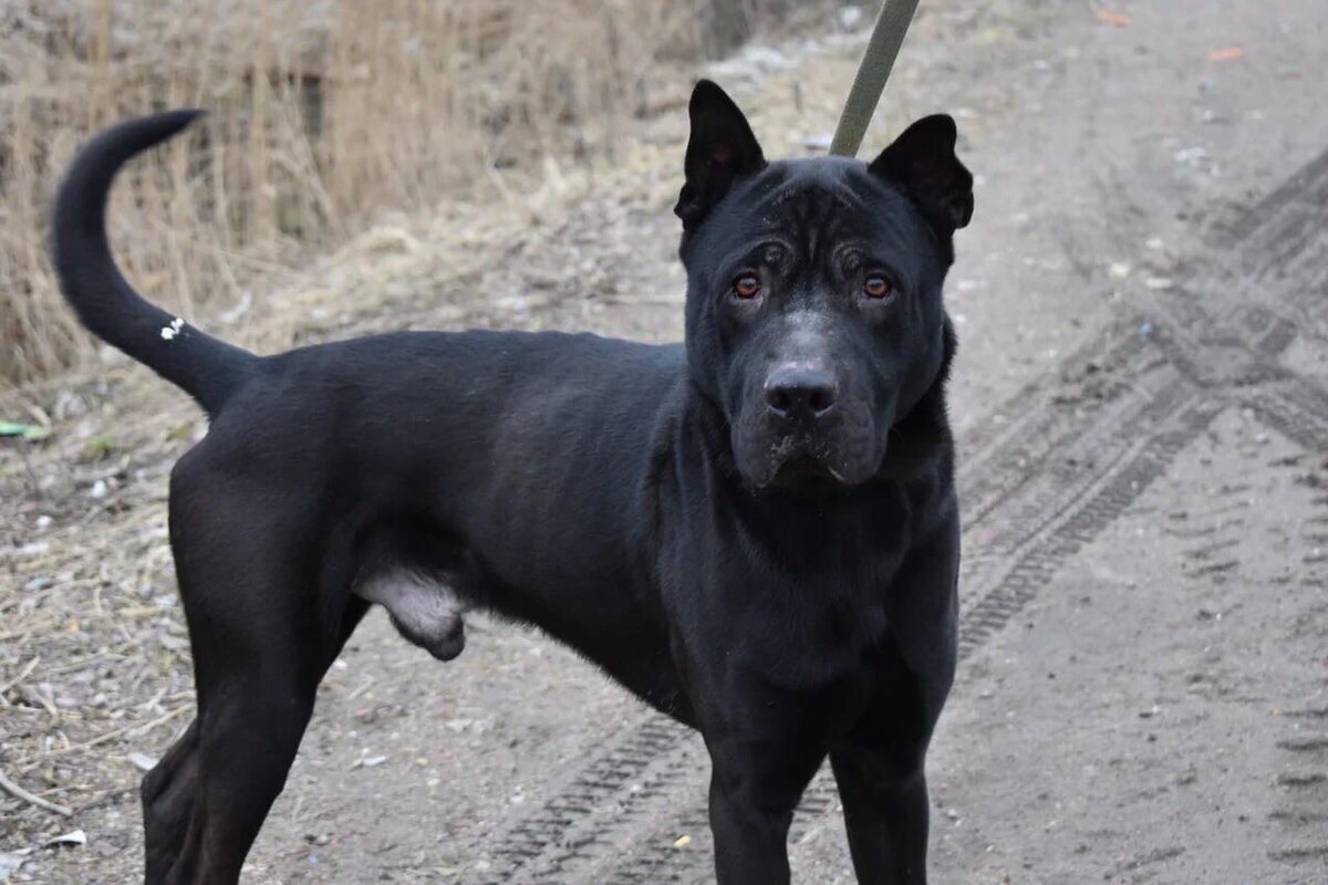 Мечта фотографа