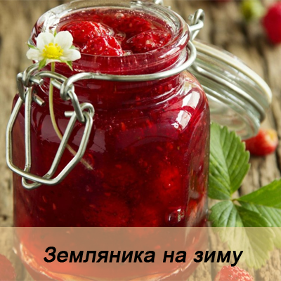 Земляника на зиму