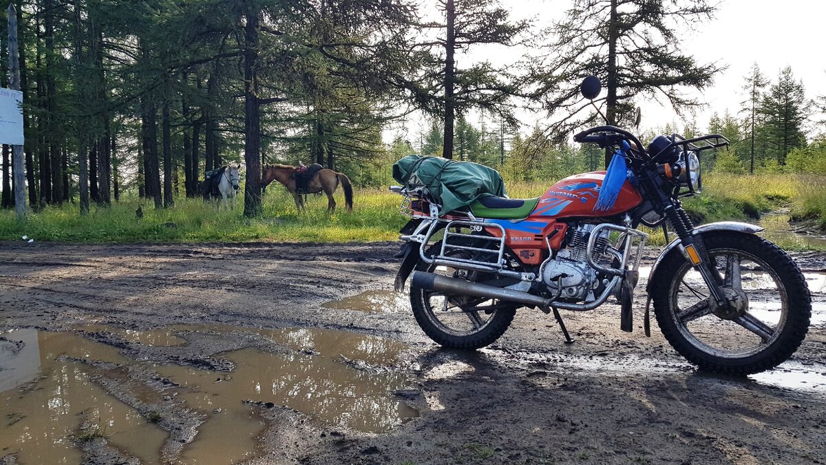 Основной вид транспорта для монгола в степях - это вот такой вот китайский железный конь. Причем у всех одна и та же модель мотоцикла.