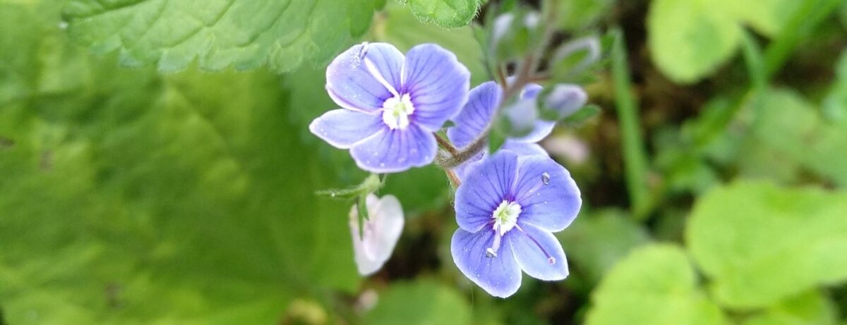 Красота вокруг