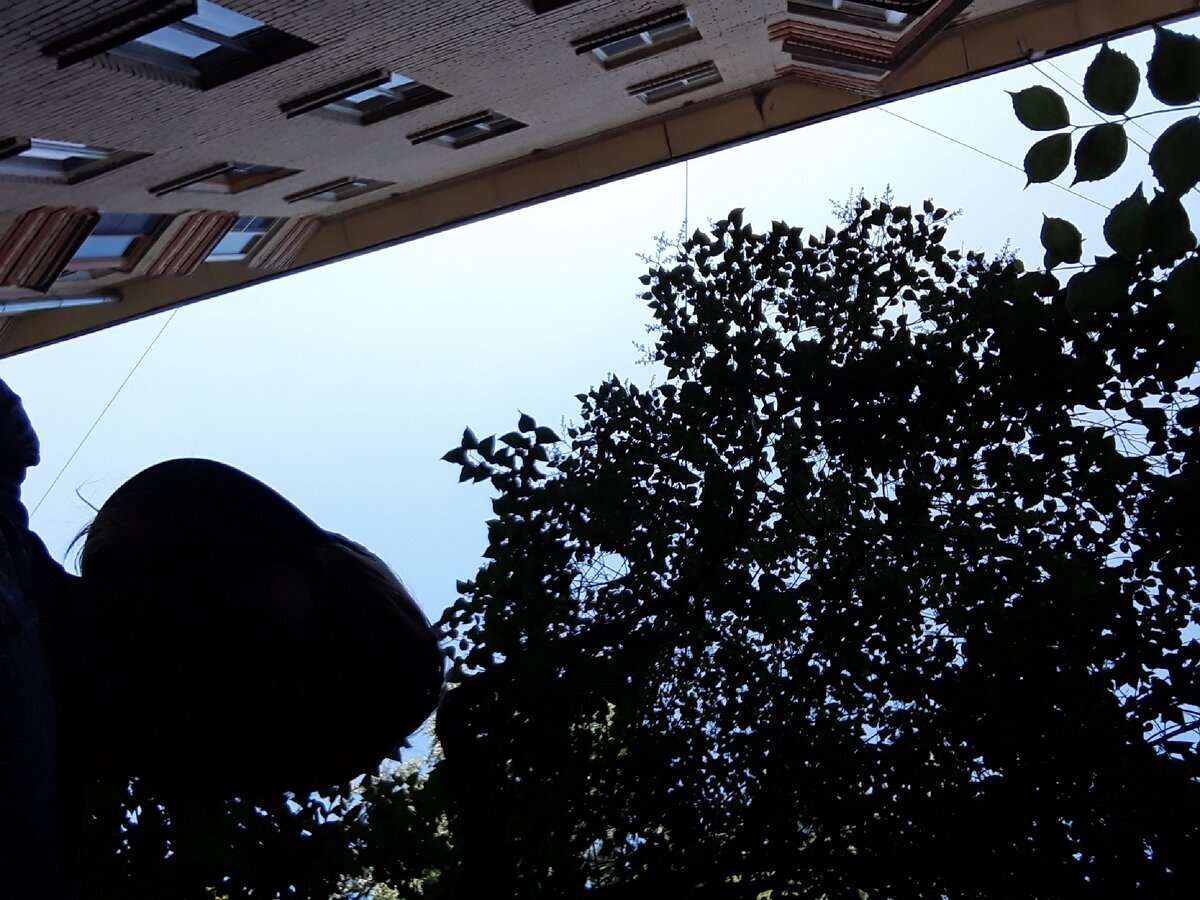 Вышла из своего дома. Селфи автора.