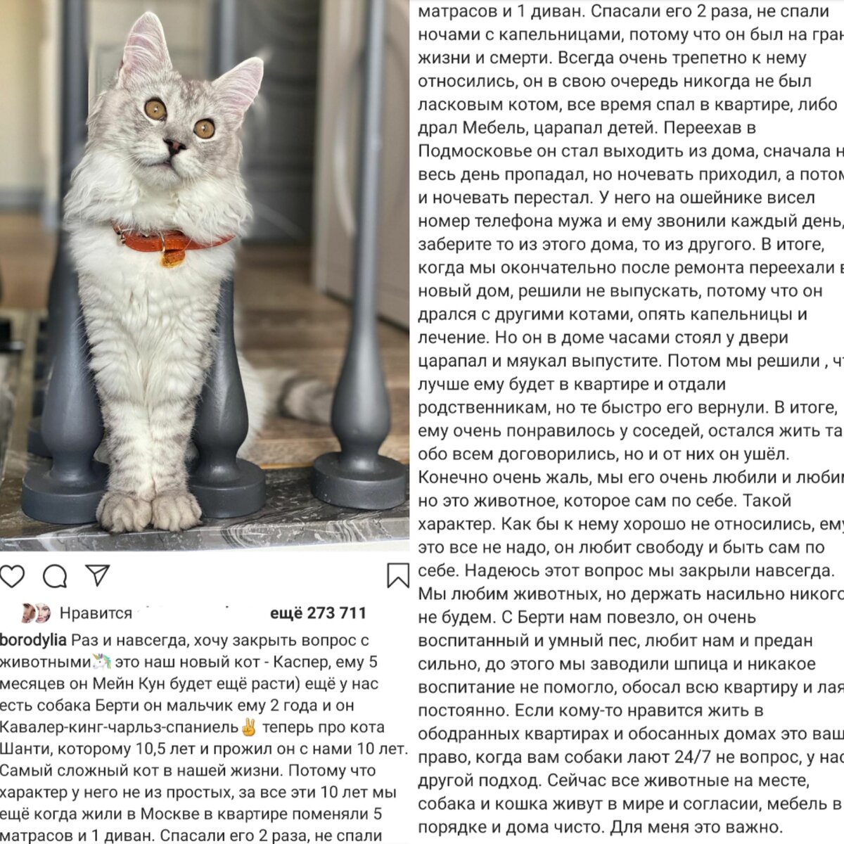 Коллаж создан автором канала 