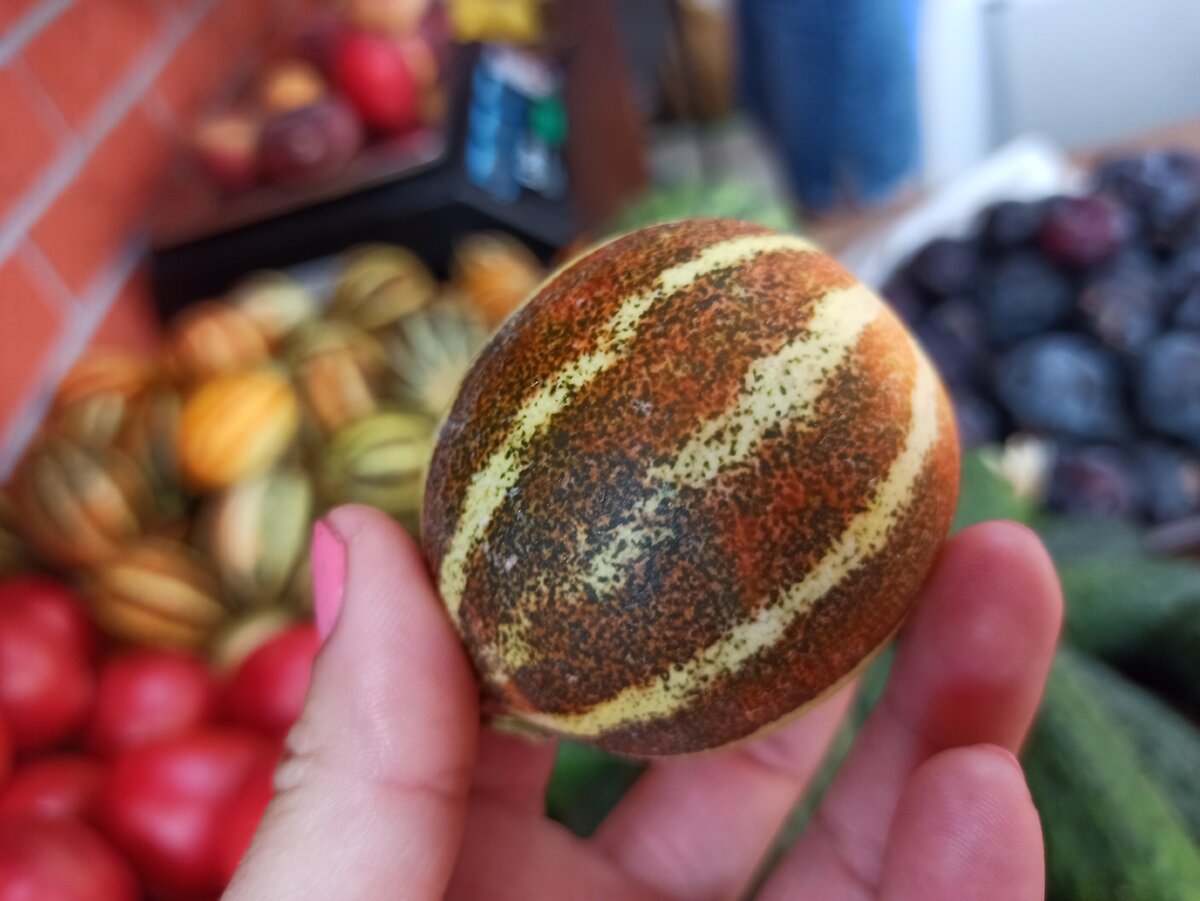 Купили на рынке в Сочи странный фрукт. Что это такое нам сказать не смогли.  Оказалось - микро-дыня, 