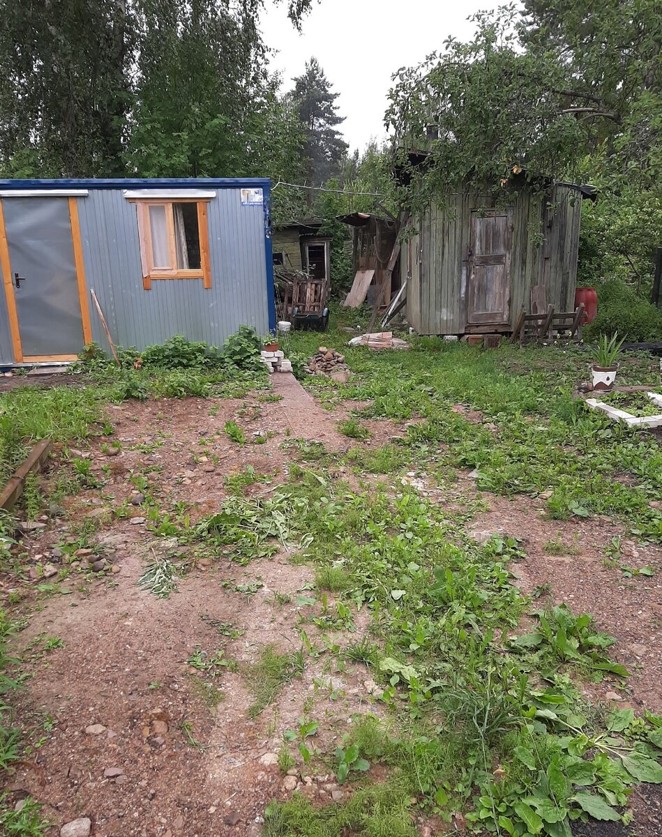 Личный архив.