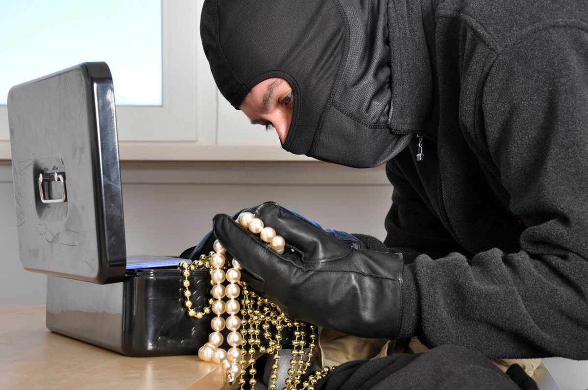 Фото взято из открытого источника.