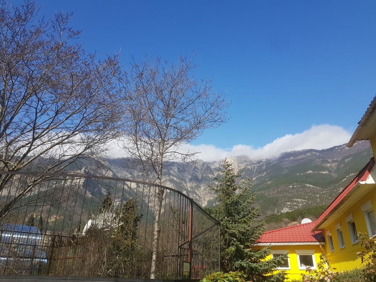 Вид от зоопарка на горы