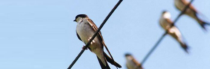                                                                            Интересные факты 