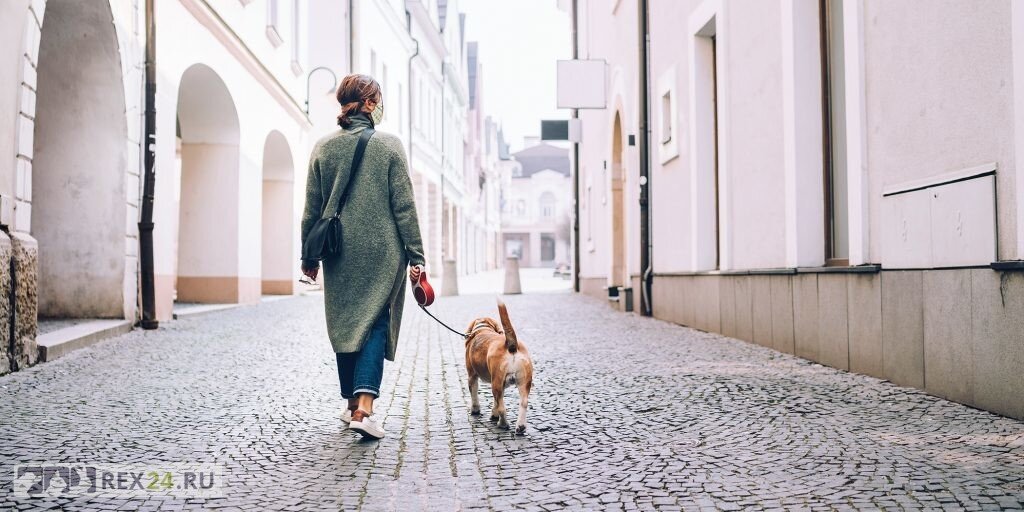 Фото: lifehacker.ru