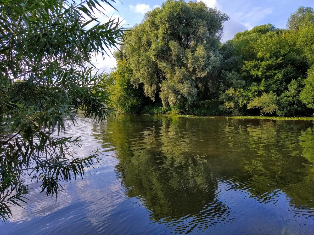 река пахра в московской области