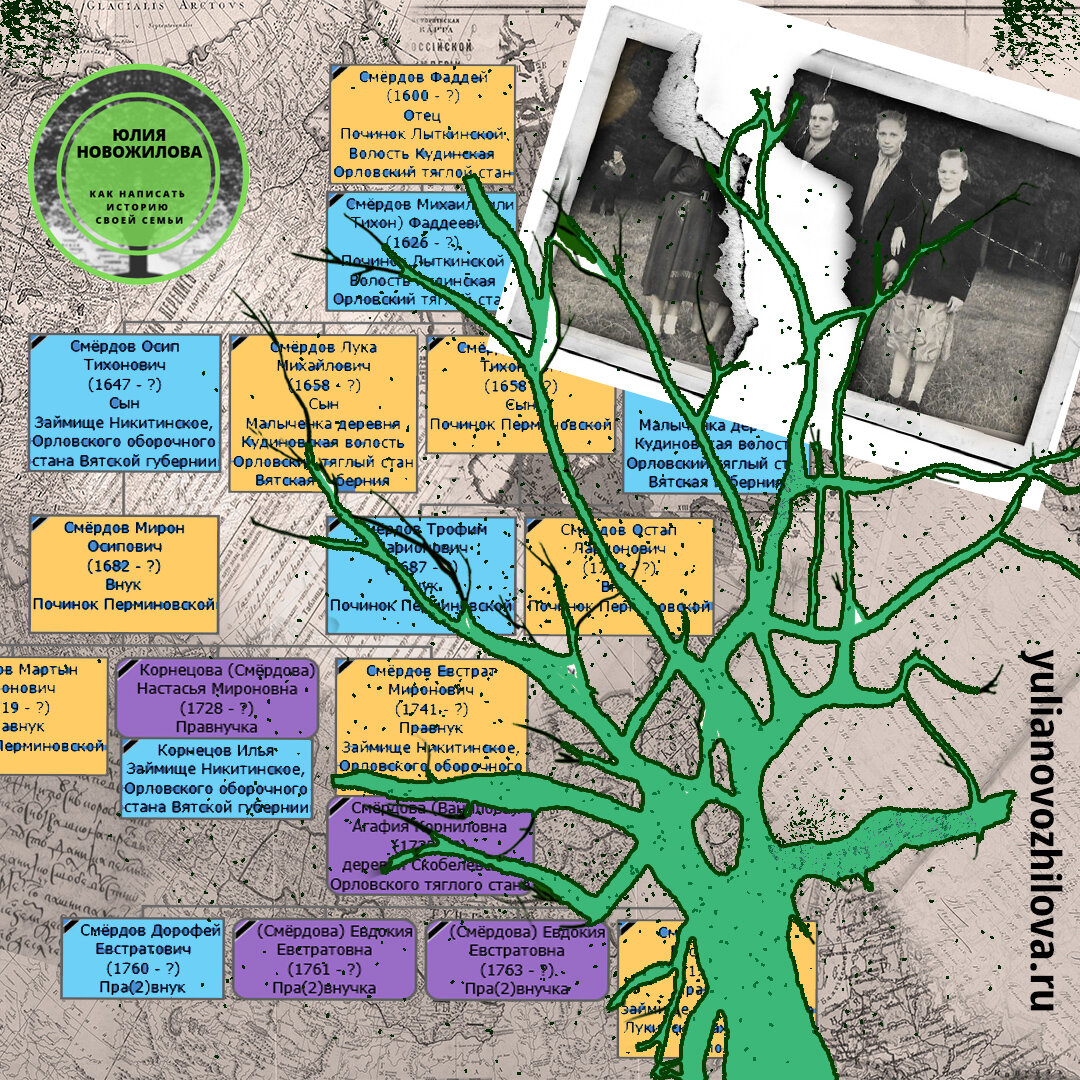 https://yulianovozhilova.ru/ статьи о поиске предков