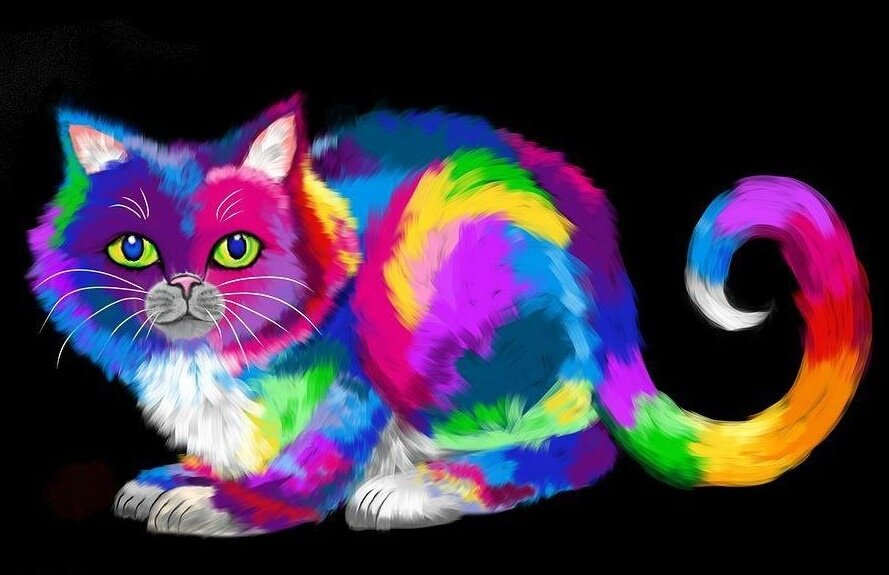 Разноцветные коты фото