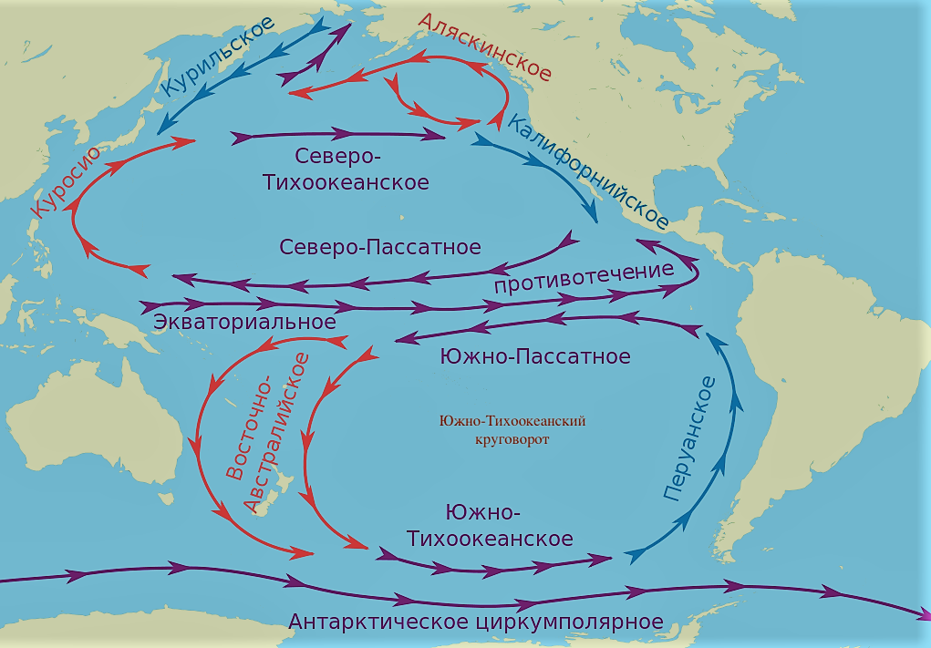 Южные течения тихого океана. Евразия теплые течения Куросио. Куросио течение на карте. Южно-Тихоокеанский круговорот. Лоция Тихого океана.