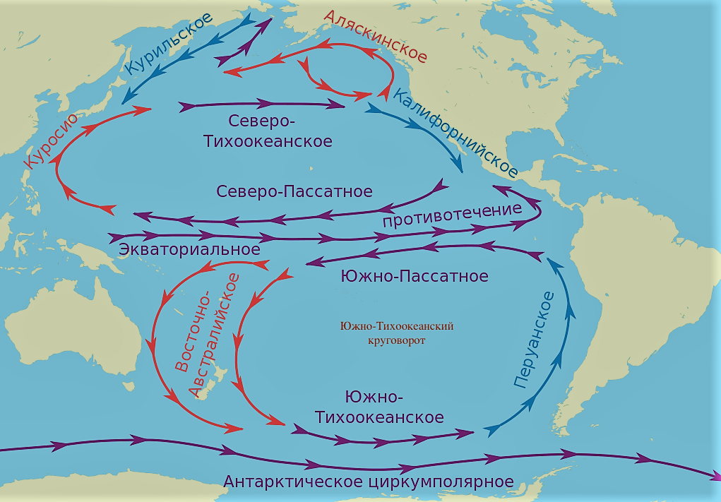 Куросио в тихом океане
