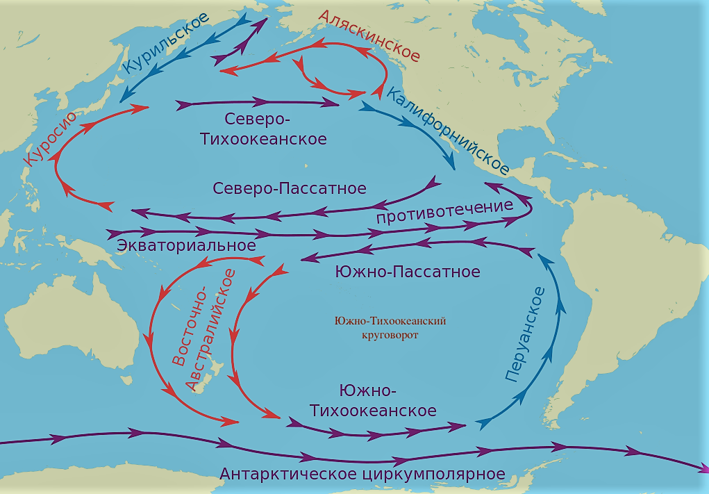 Куросио течение на карте. Южно-Тихоокеанский круговорот. Лоция Тихого океана. Океанские течения.