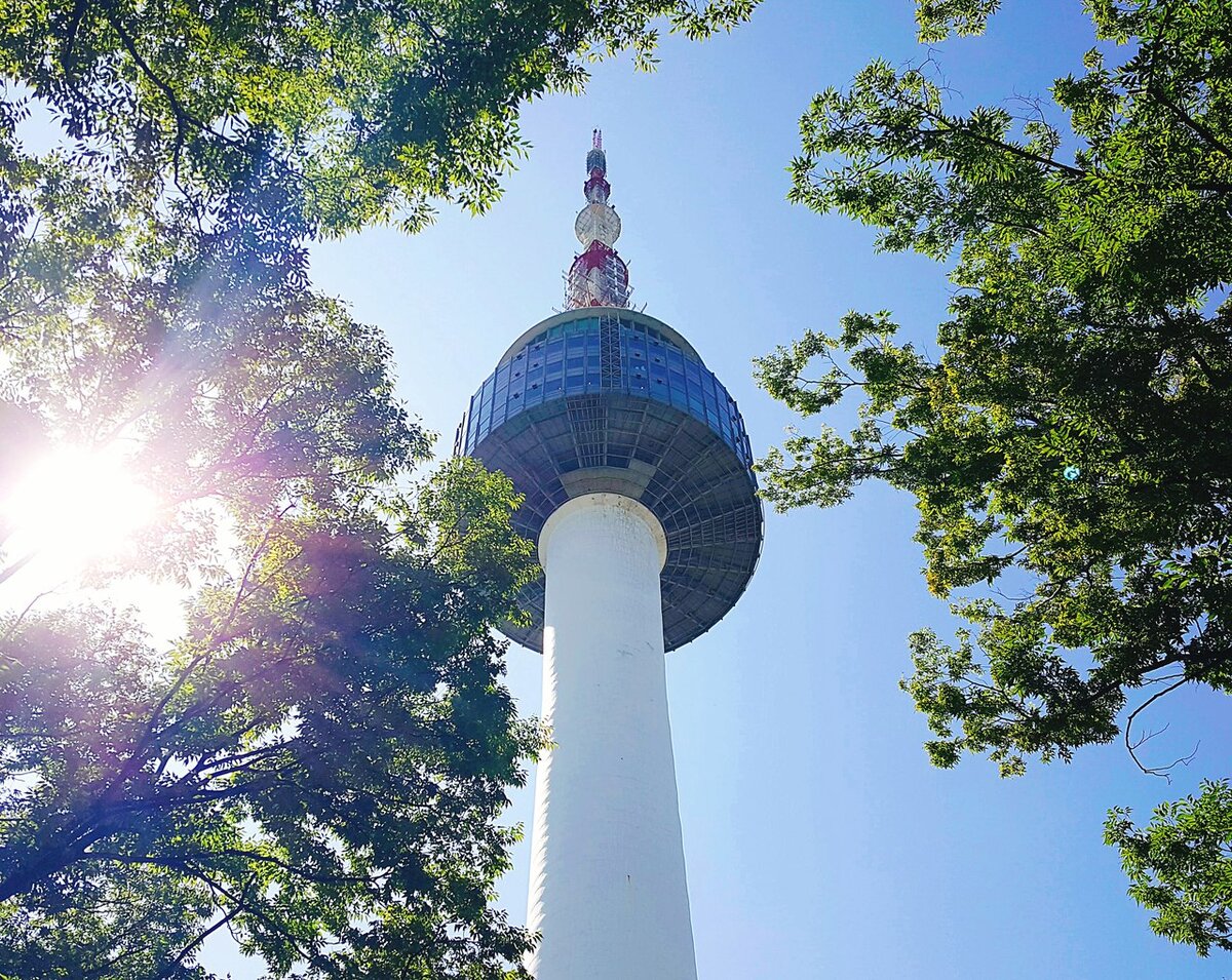 Вид на N-tower