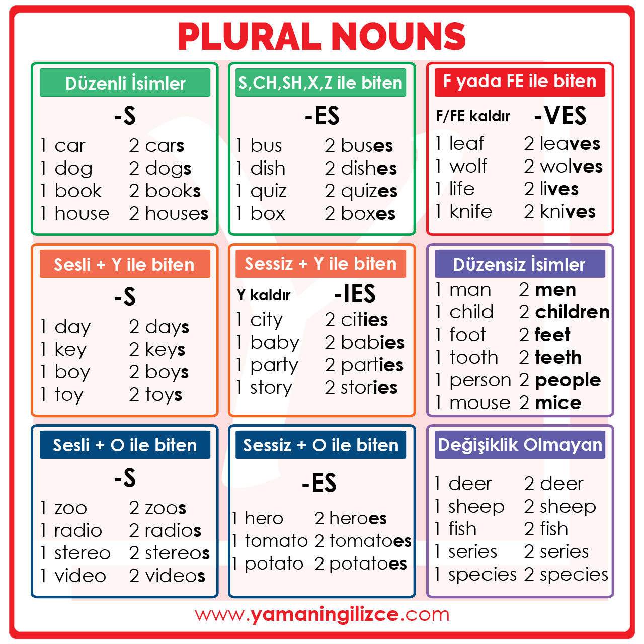Plural Nouns in English Rule
