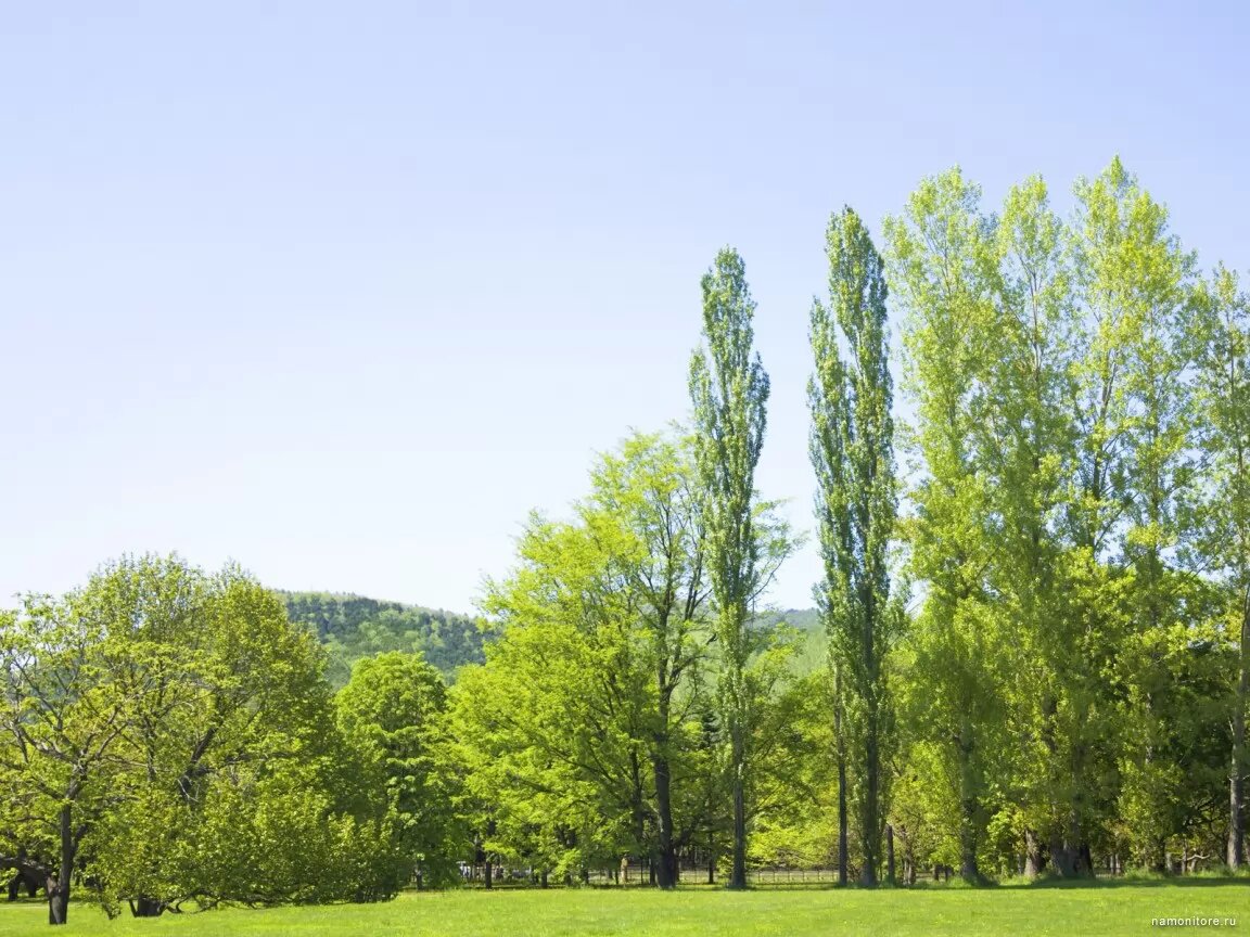 Картинка найдена на просторах интернета.