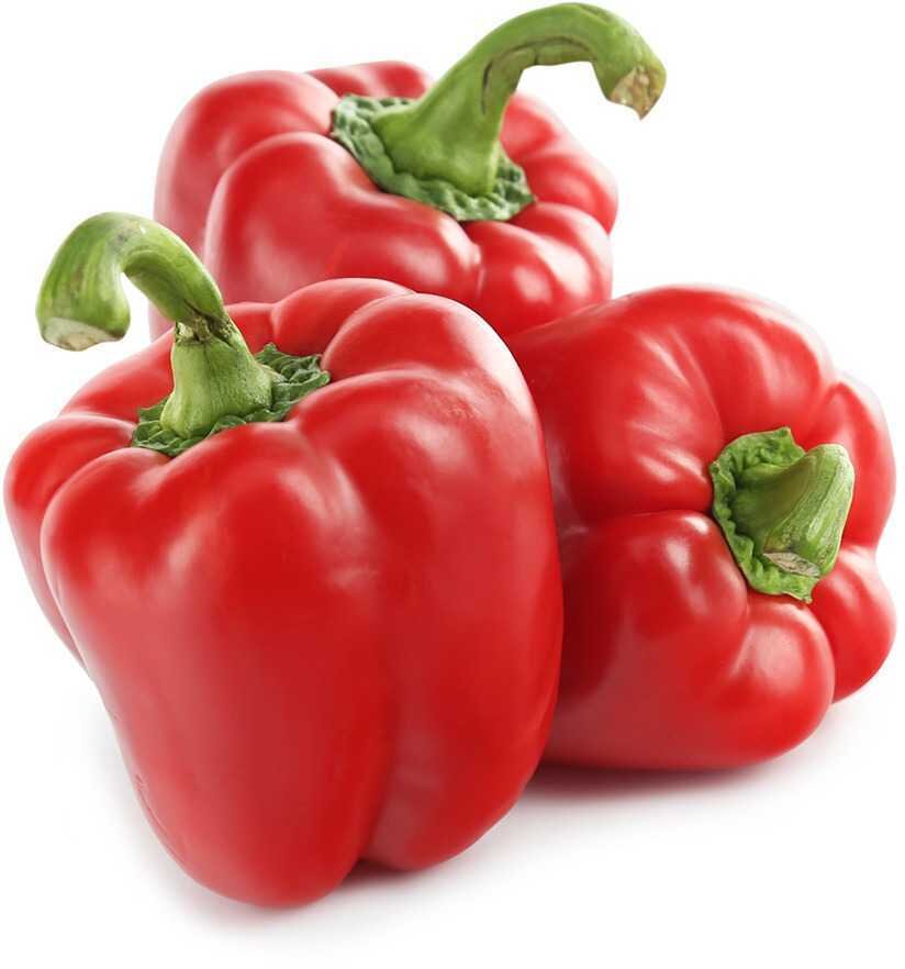 Болгарский перец