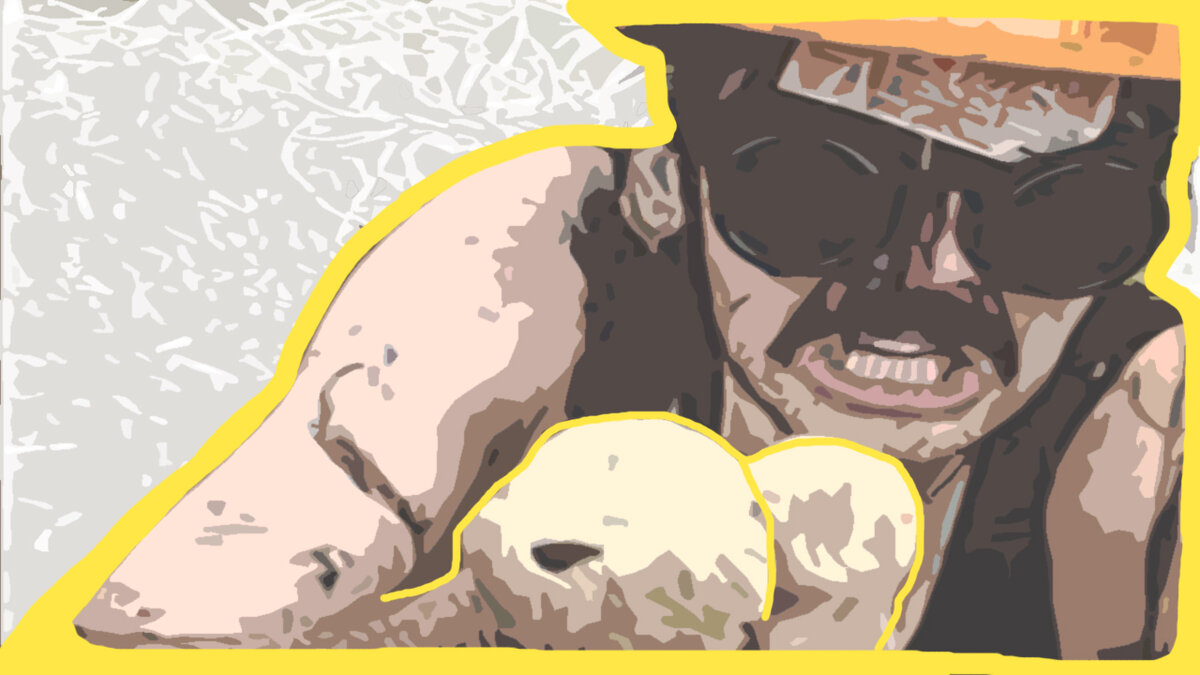 Игорь нашёл уникальные грибы - Подболотники!