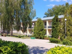 Дубки выводят камни