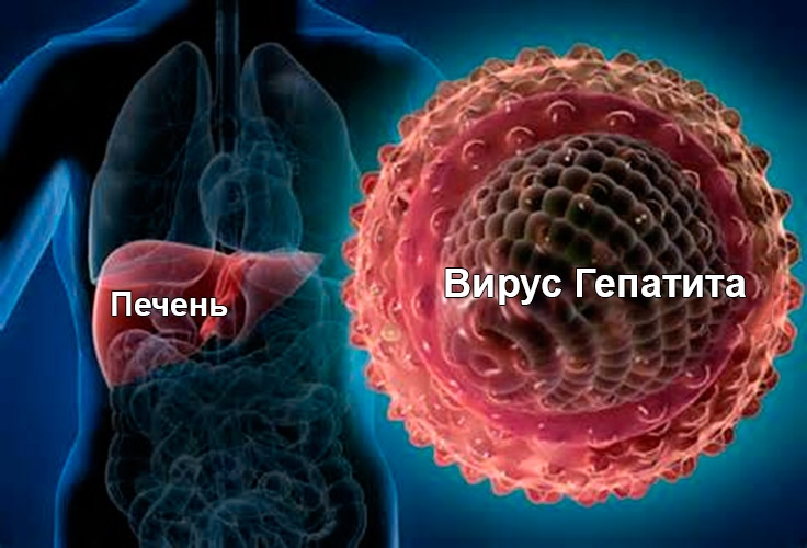 Sovaldi: история самого продаваемого препарата за всю историю фармотрасли