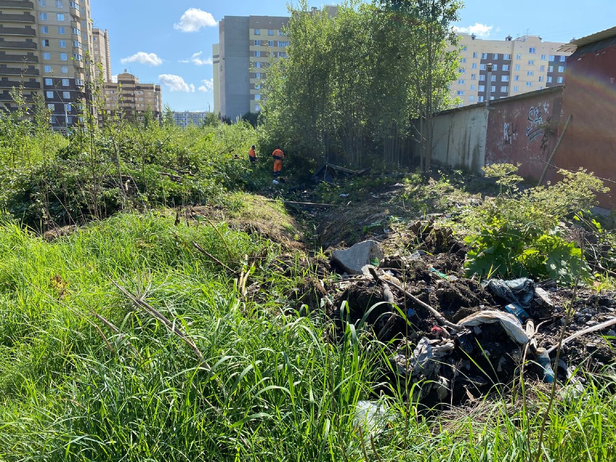 Культуры. Верхняя улица 12. Работа в буграх. Поле бугры мурино. Дорога мурино бугры.