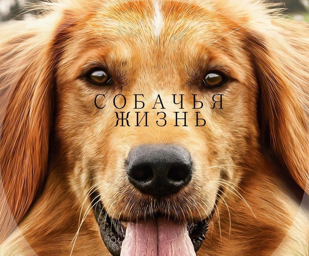 Фото из свободных источников.