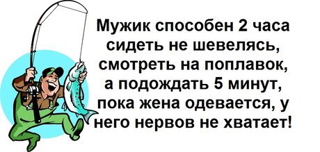 правда жизни