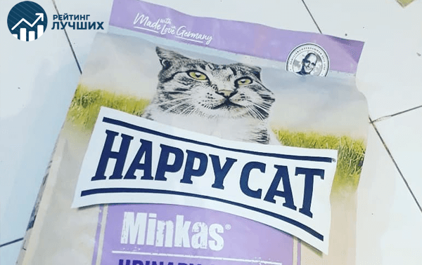 Лучший корм для кошек 2023