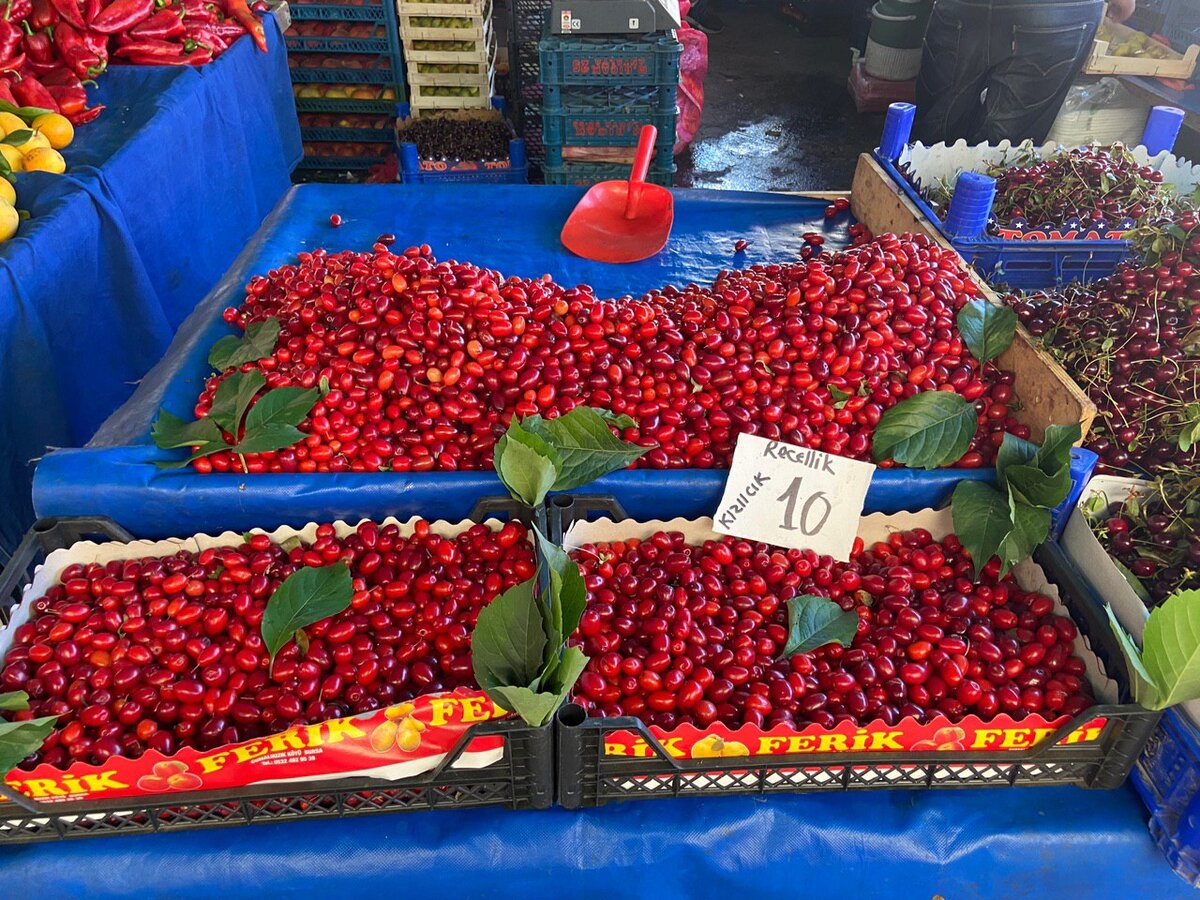 Побывала на пятничном базаре в Турции, где продают овощи и фрукты из местных сел. Показываю цены в августе 2020 года