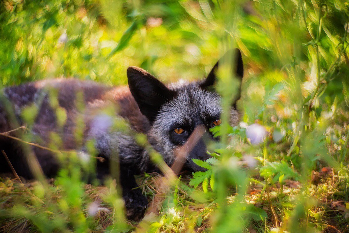 Фото: Дарья Пушкарёва