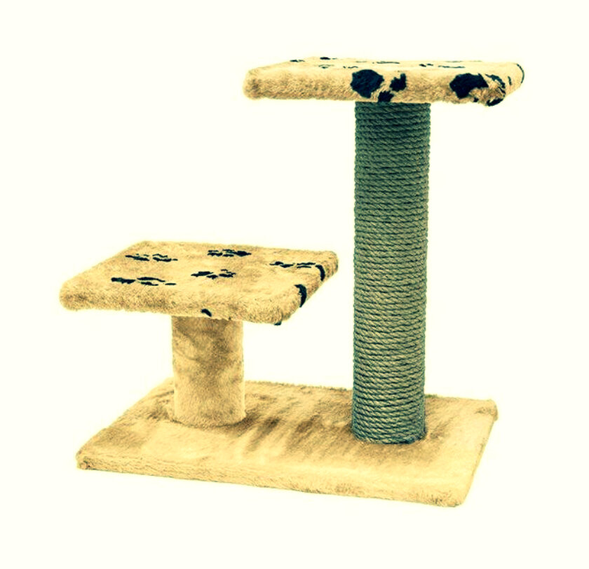 Когтеточка обыкновенная