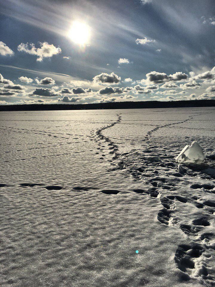 Следы Красной рукавички 