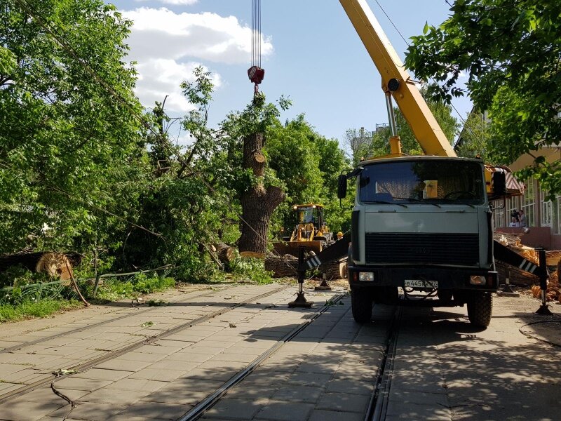 Рабочие убирают поваленное дерево с трамвайных путей.
