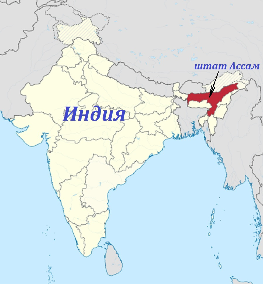 Индия на карте. Штат Ассам Индия. Индия и Индостан на карте. Штат Бихар Индия на карте Индии.