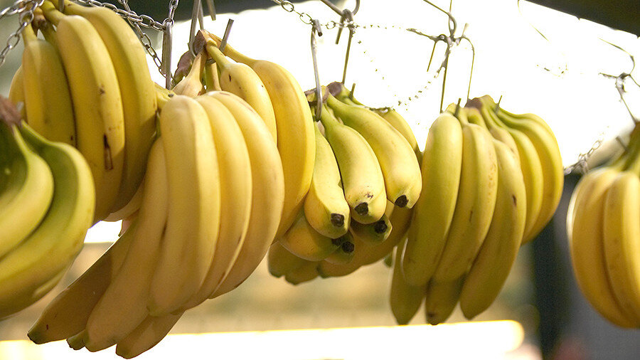 Источник изображения: Global Look Press