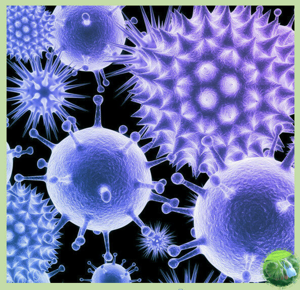 Разнообразие вирусов по внешнему виду.