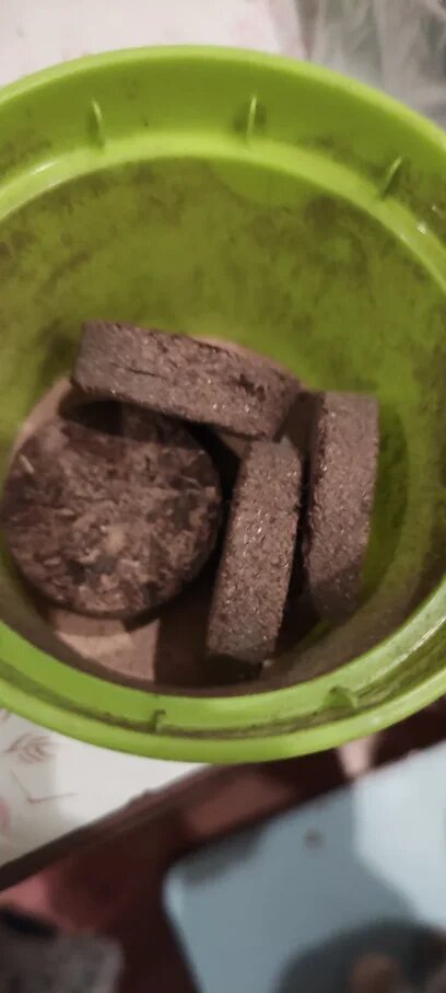 Грунт в наборе