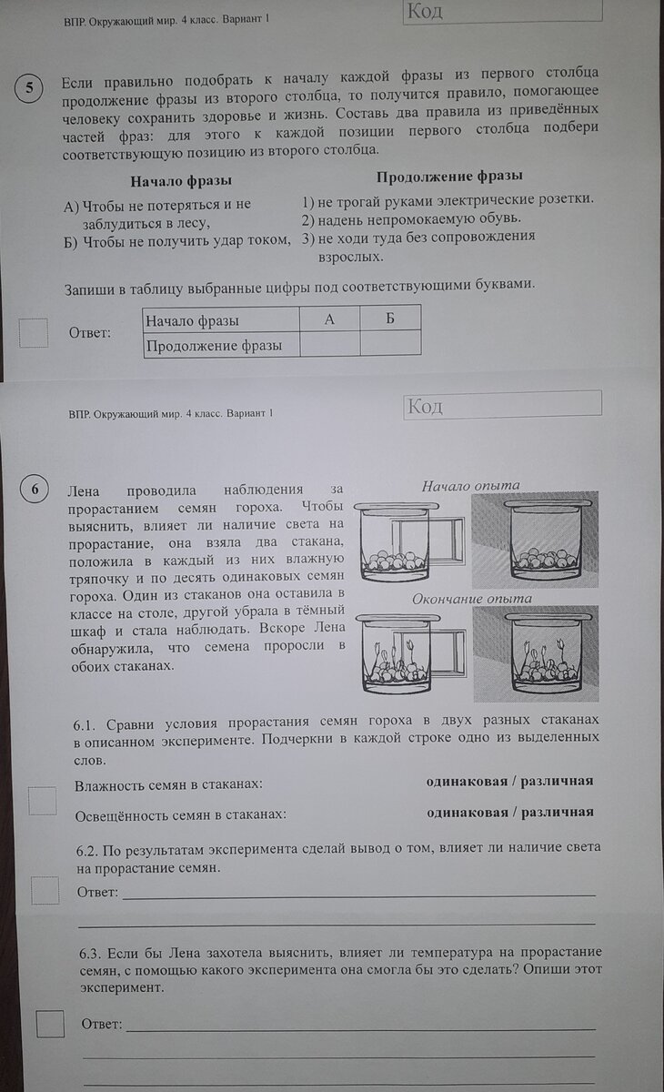 Всё о ВПР в 4 классе + задания с ответами | Отношения в жизни | Дзен